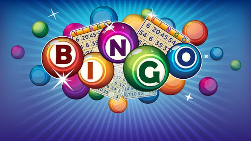 roleta de bingo profissional