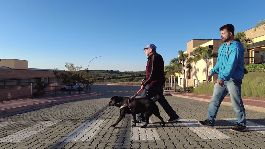 Homem e seu cão guia