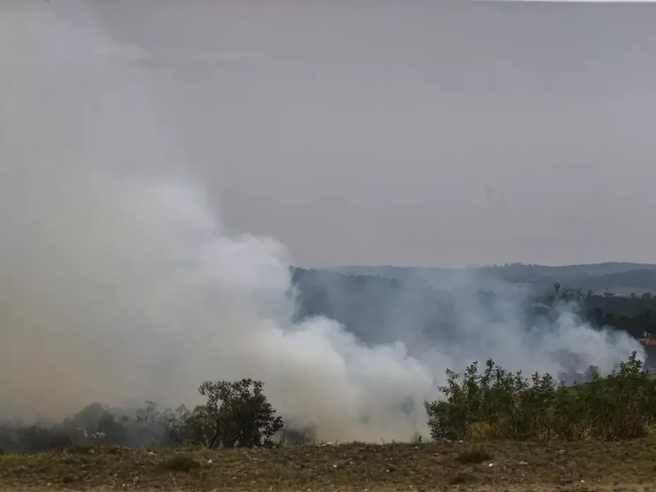 São Paulo (SP) 24/08/2024 - Foco de incêndio próximo a rodovia presidente Castelo Branco, o governo de São Paulo cria gabinete de crise para combate a incêndios Estradas são interditadas e 30 municípios estão em alerta máximo