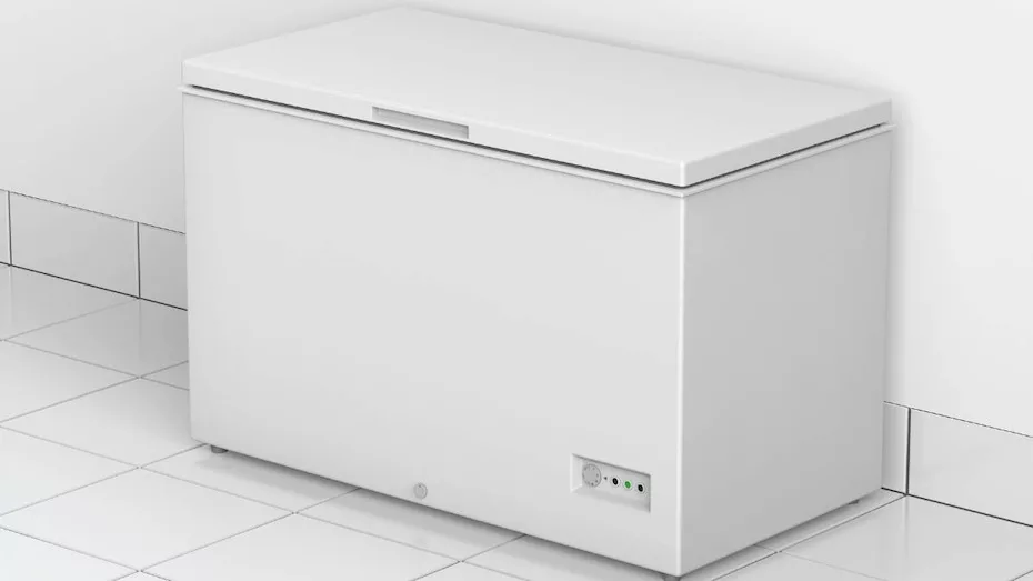 Maximizando o armazenamento: por que escolher um freezer horizontal de 2 portas é vantajoso