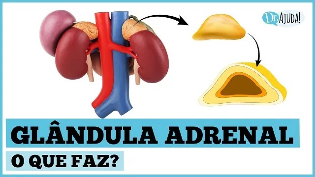 Quando suspeitar de problema na adrenal?