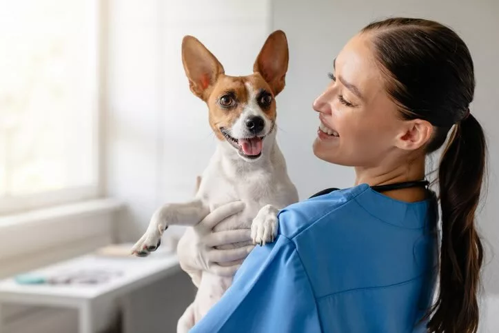 Até qual idade cães podem consumir ração para filhote?