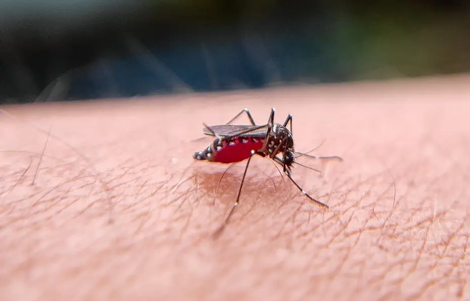 5 dicas para proteção e combate ao mosquito Aedes aegypti