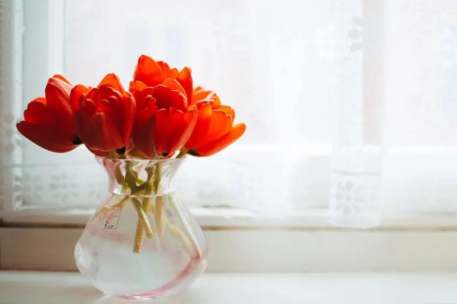 9 tipos de flores para decorar a sua casa