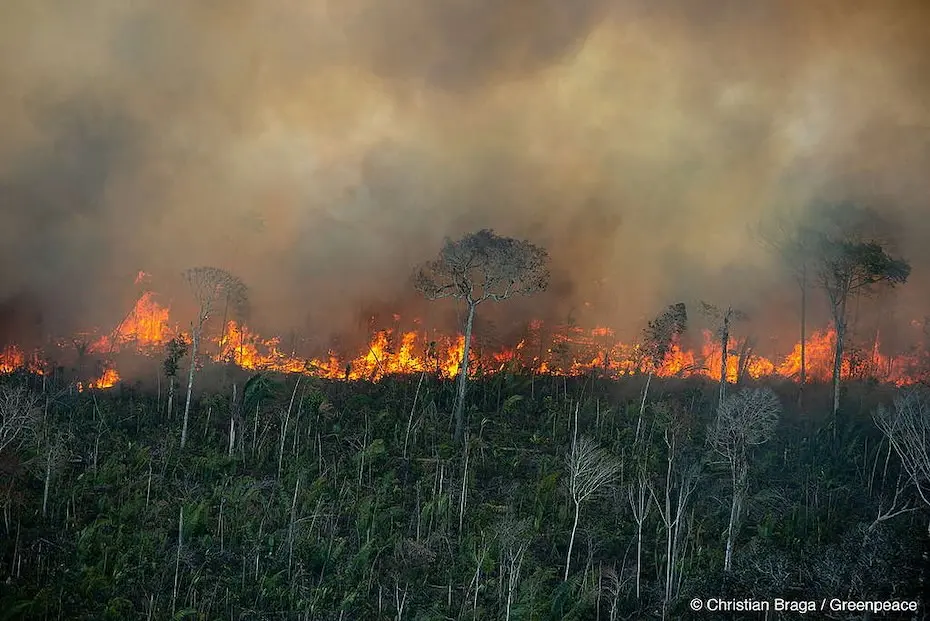 Descubra como a IA e outras tecnologias podem mitigar desastres naturais no campo