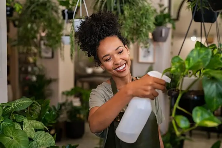 Flores e plantas: dicas para mantê-las sempre saudáveis