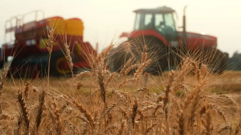 Gerenciamento de crises no Agronegócio - desafios e oportunidades