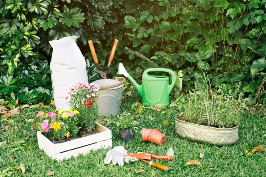 Jardim bonito e bem cuidado mesmo nos meses de calor! Como é possível?