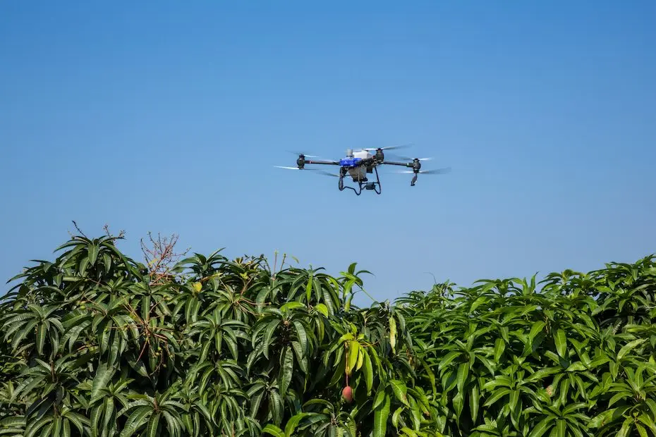 As 5 principais funções dos drones na agricultura