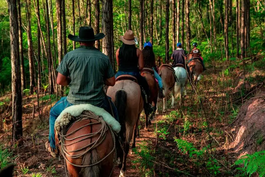 Verão e férias escolares: conheça sete lugares "escondidos" de ecoturismo na capital