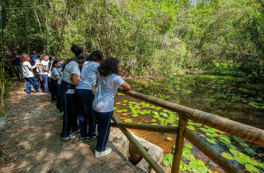 Verão e férias escolares: conheça sete lugares "escondidos" de ecoturismo na capital