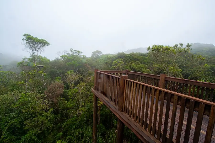 Verão e férias escolares: conheça sete lugares "escondidos" de ecoturismo na capital