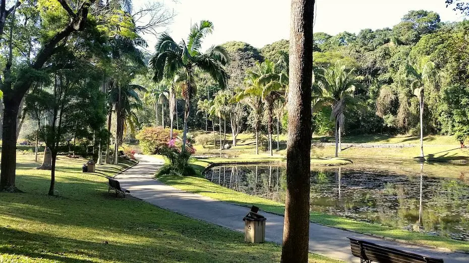 Jardim Botânico da cidade de São Paulo - Foto: Felipe Cruz/iStock