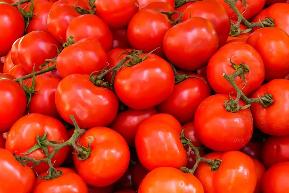 O império vermelho- como o tomate transformou a sociedade e o mundo