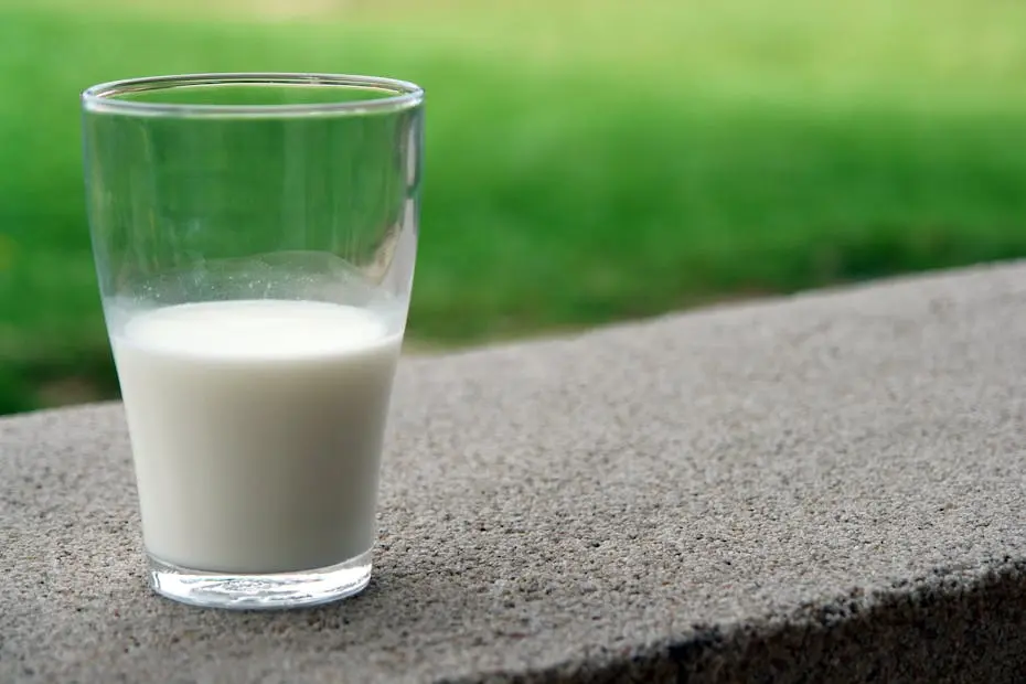 Intolerância à lactose: saiba sobre como ela pode surgir em qualquer idade